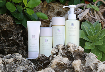 センシティブプラスライン